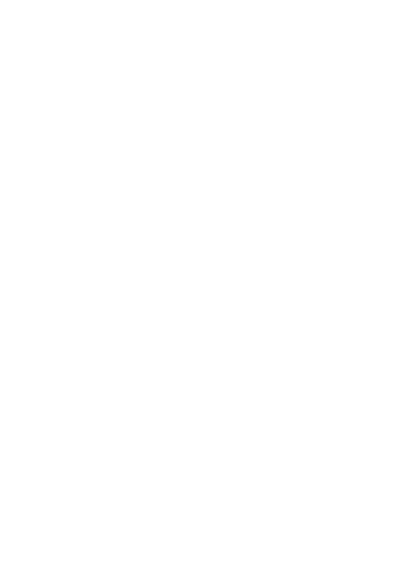 Signature Michael Borghino